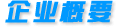 企業(yè)概要
